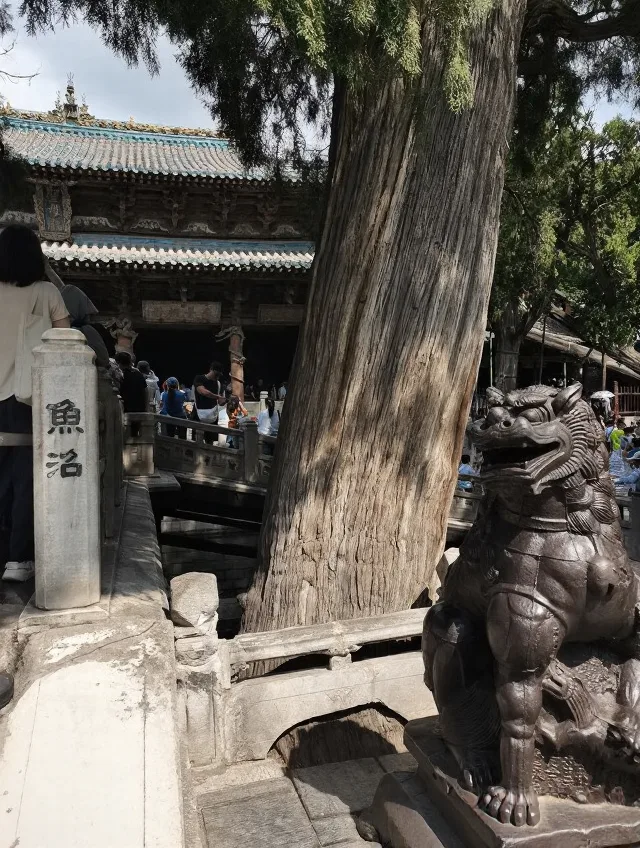 自驾晋祠与博物院,一眼千年 图片 5