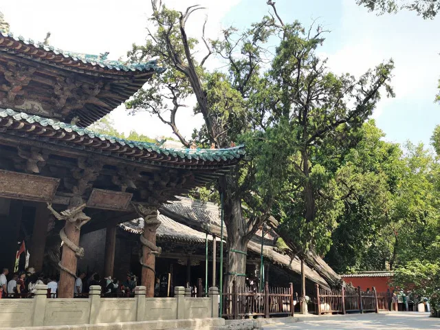 自驾晋祠与博物院,一眼千年 图片 6