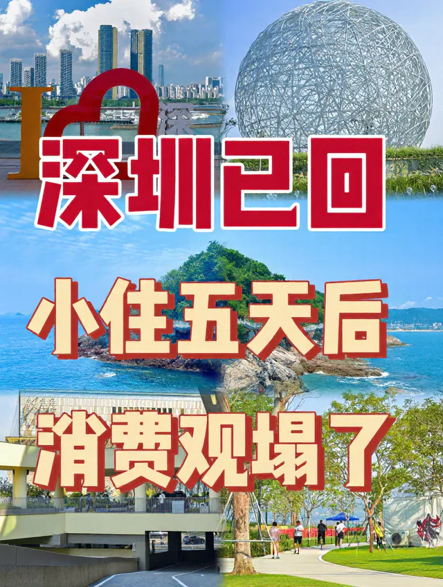 深圳五天回来，消费观直接崩塌