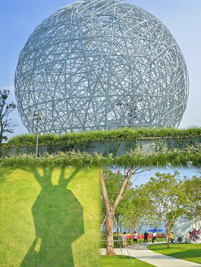 深圳五天回来,消费观直接崩塌 图片 3