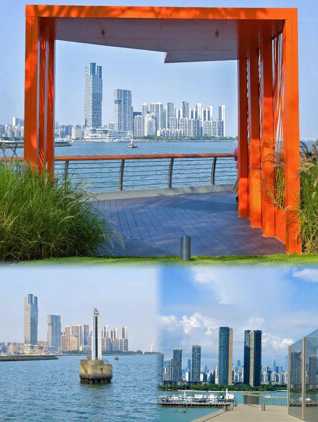 深圳五天回来,消费观直接崩塌 图片 4