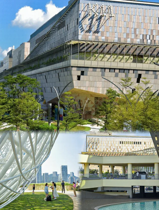 深圳五天回来,消费观直接崩塌 图片 5