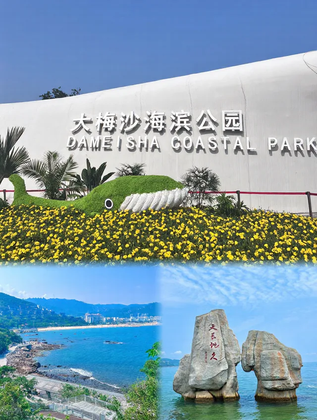 深圳五天回来,消费观直接崩塌 图片 7