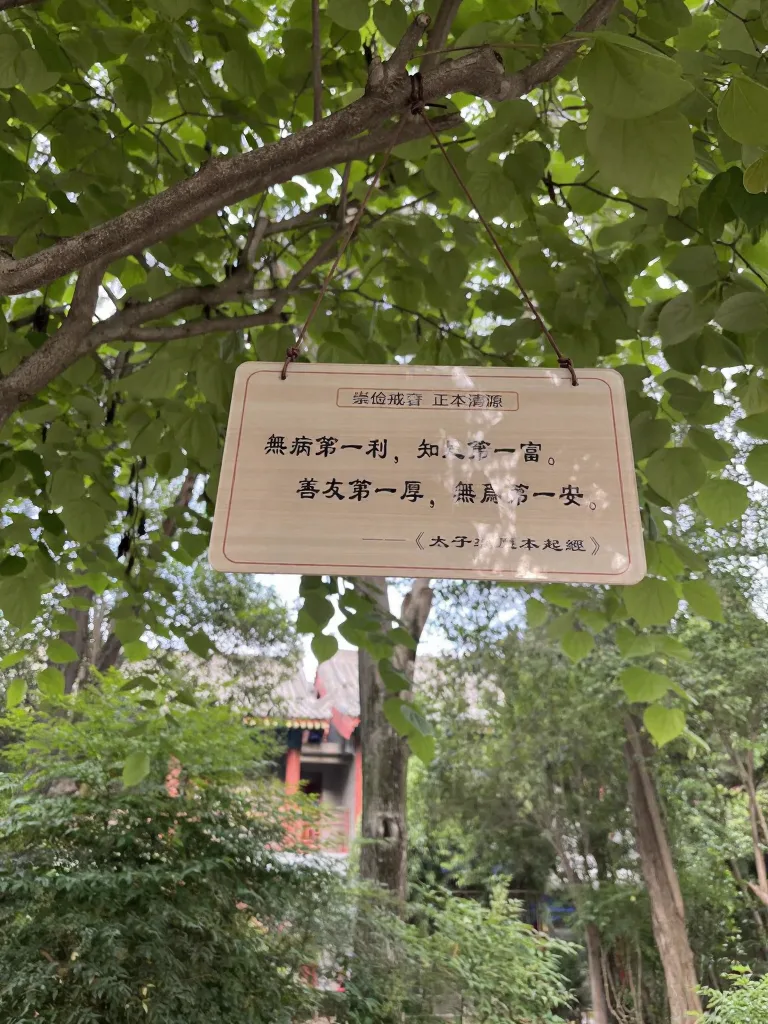 大雁塔不一定爬，但大慈恩寺一定要去！ 图片 6