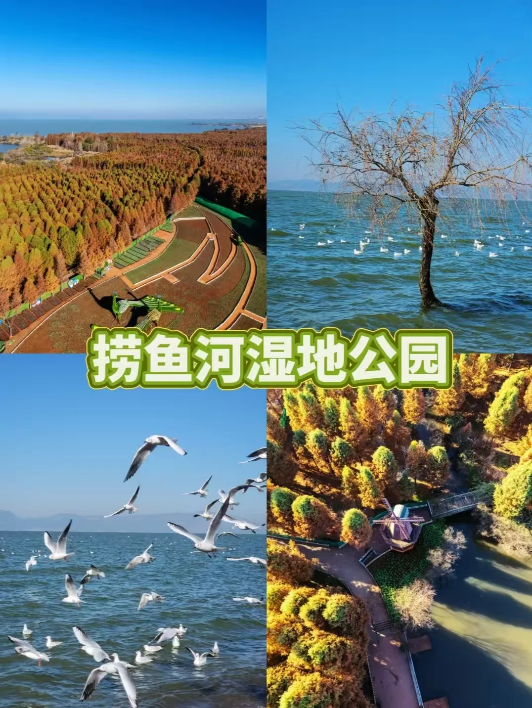 带娃昆明短途游 三天两晚春城亲子慢行记+FAQ 图片 3