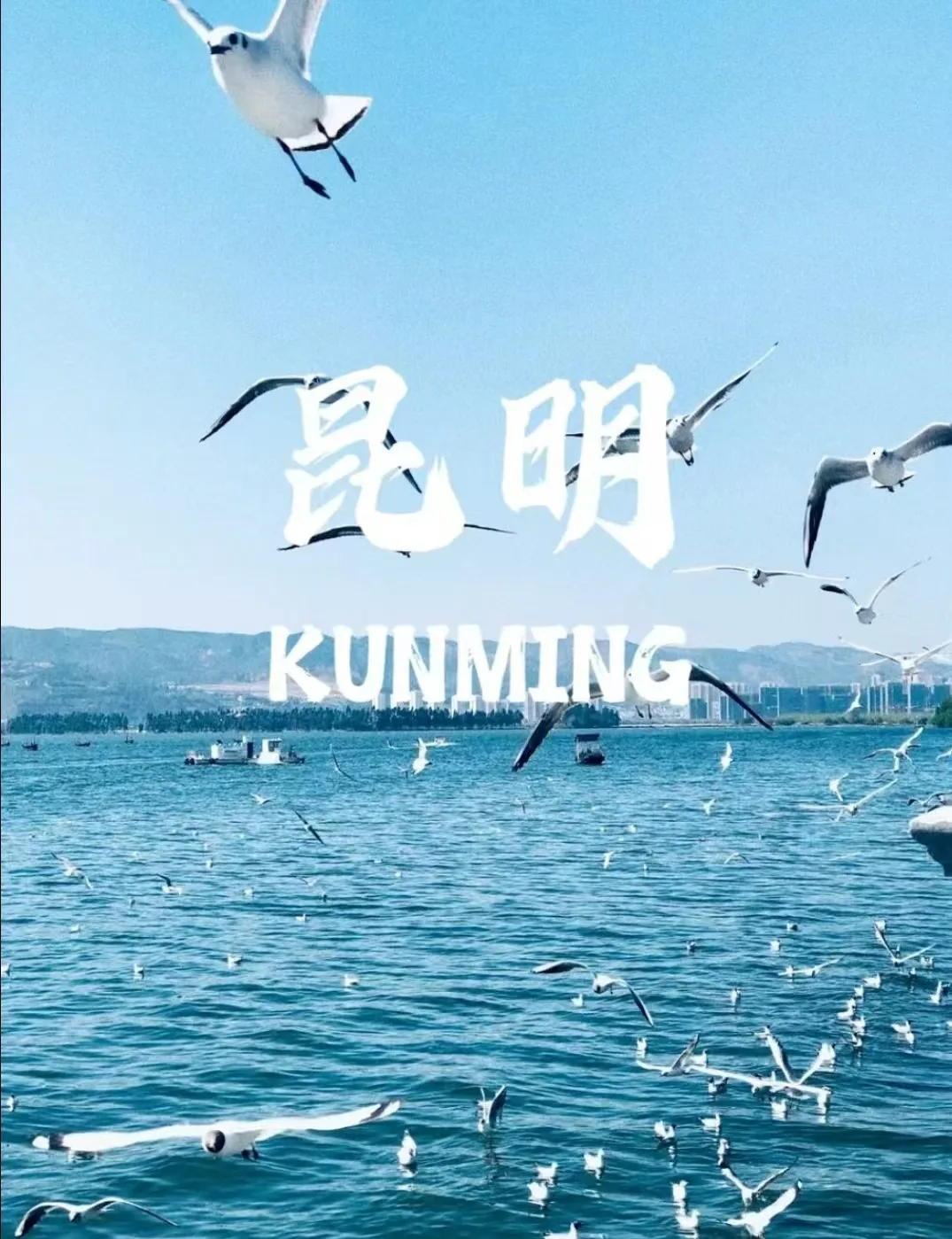 春城遛娃不赶路:昆明暑假亲子游全攻略