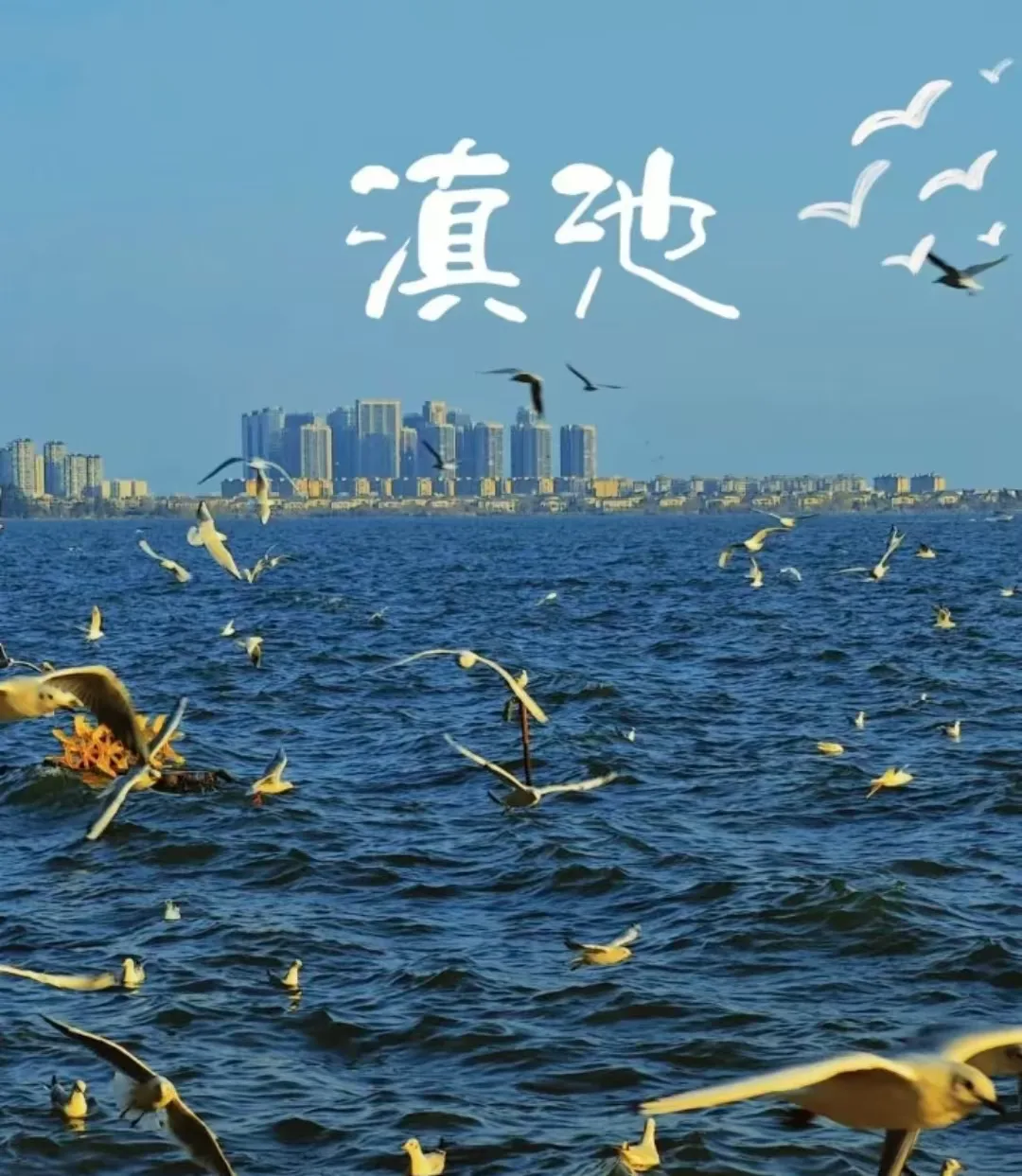 春城遛娃不赶路:昆明暑假亲子游全攻略 图片 6