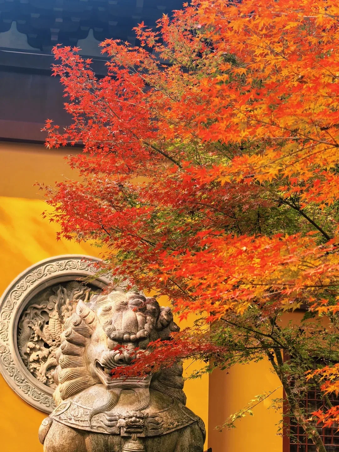 这个中秋去哪儿玩?杭州小众赏秋地3天2晚全攻略+FAQ 图片 8