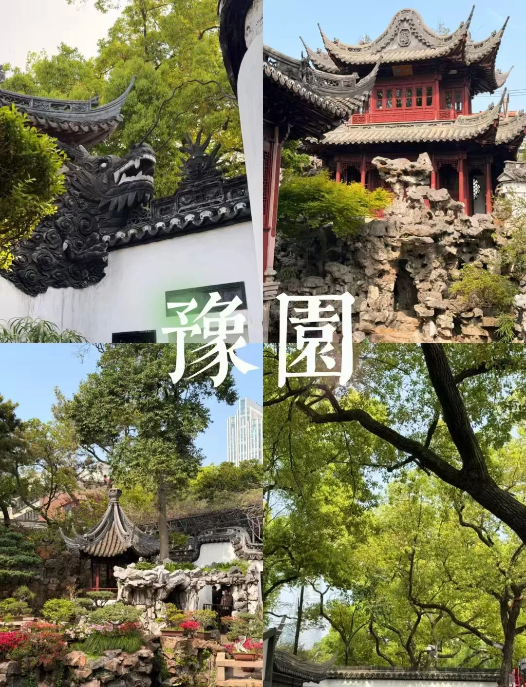 慢游上海中秋:江月作伴,邂逅市井与繁华 图片 3