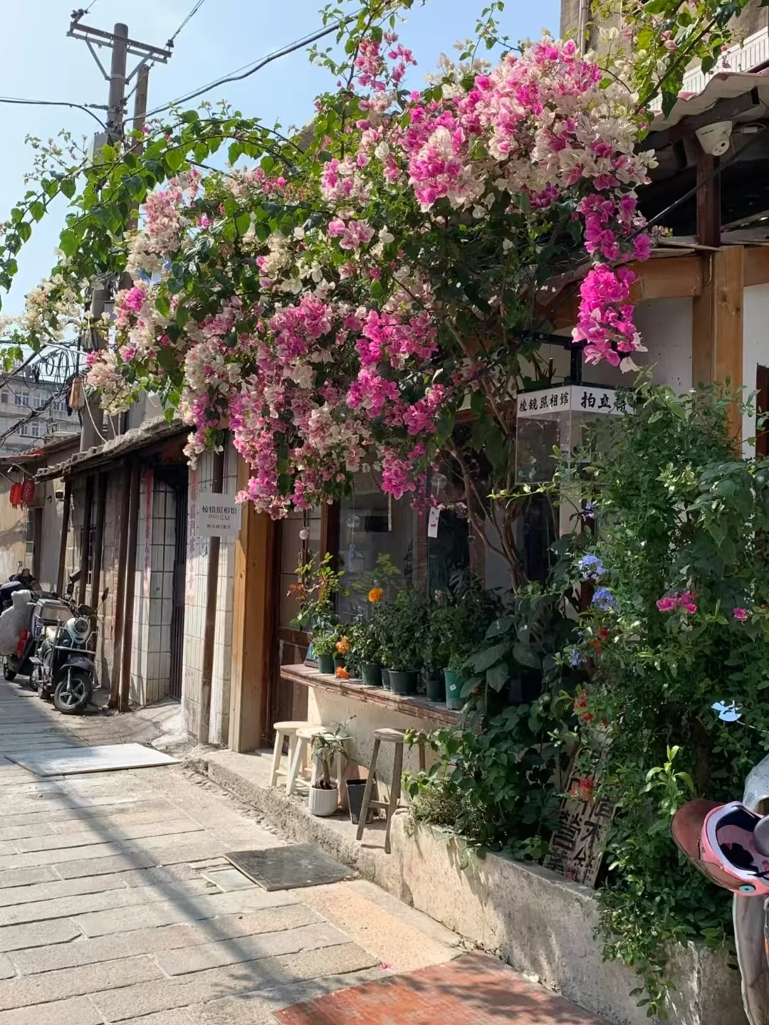 抓住假期尾巴带娃游泉州，慢节奏古城亲子之旅 图片 7