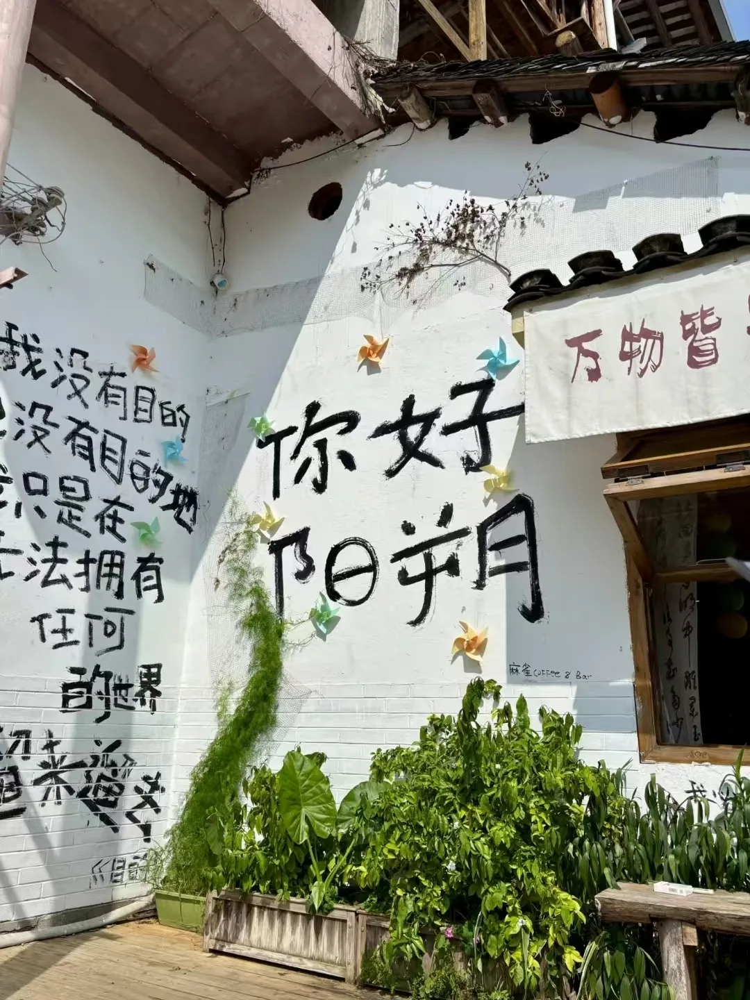 8月避暑玩水首选！阳朔保姆级游玩攻略+FAQ