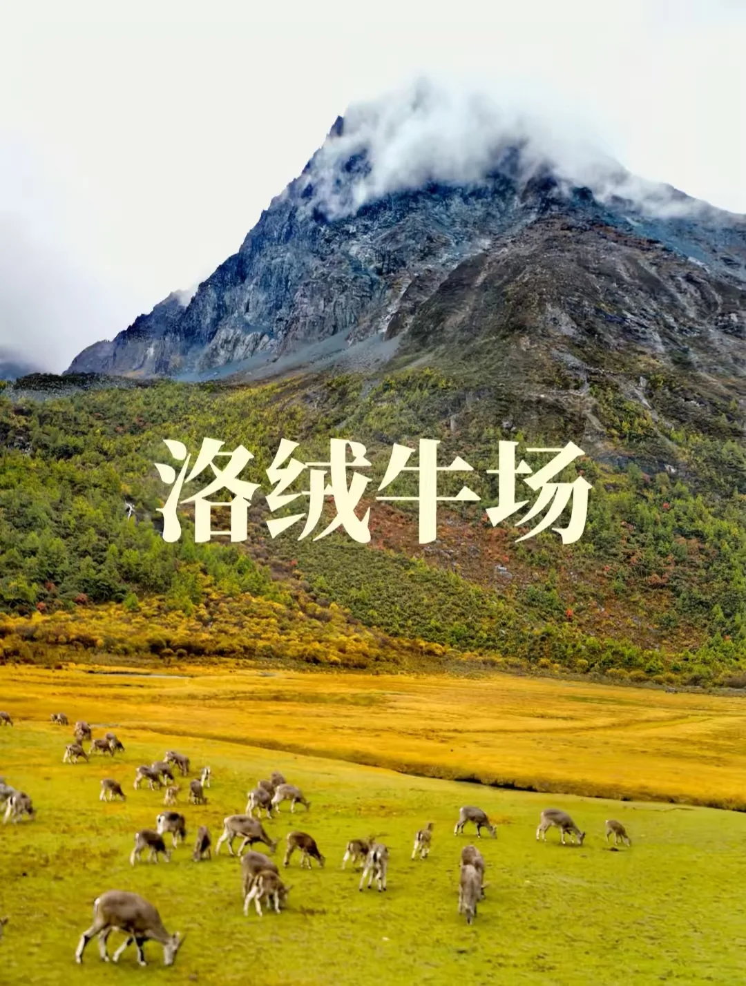 8月下旬稻城亚丁避暑攻略｜盛夏川西净土出游指南+FAQ 图片 5