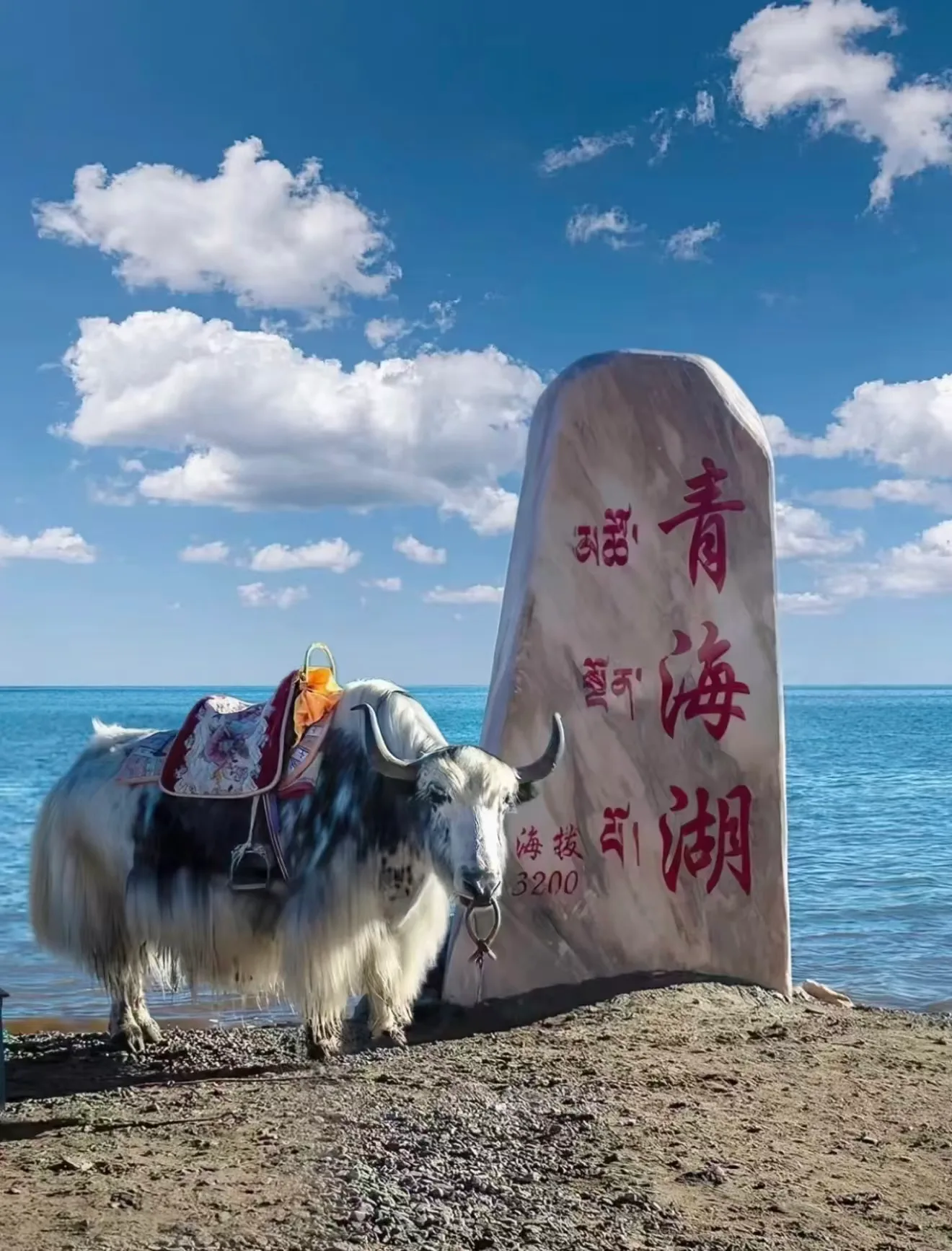 八月奔赴青海，暑假尾声来一场清凉高原之旅