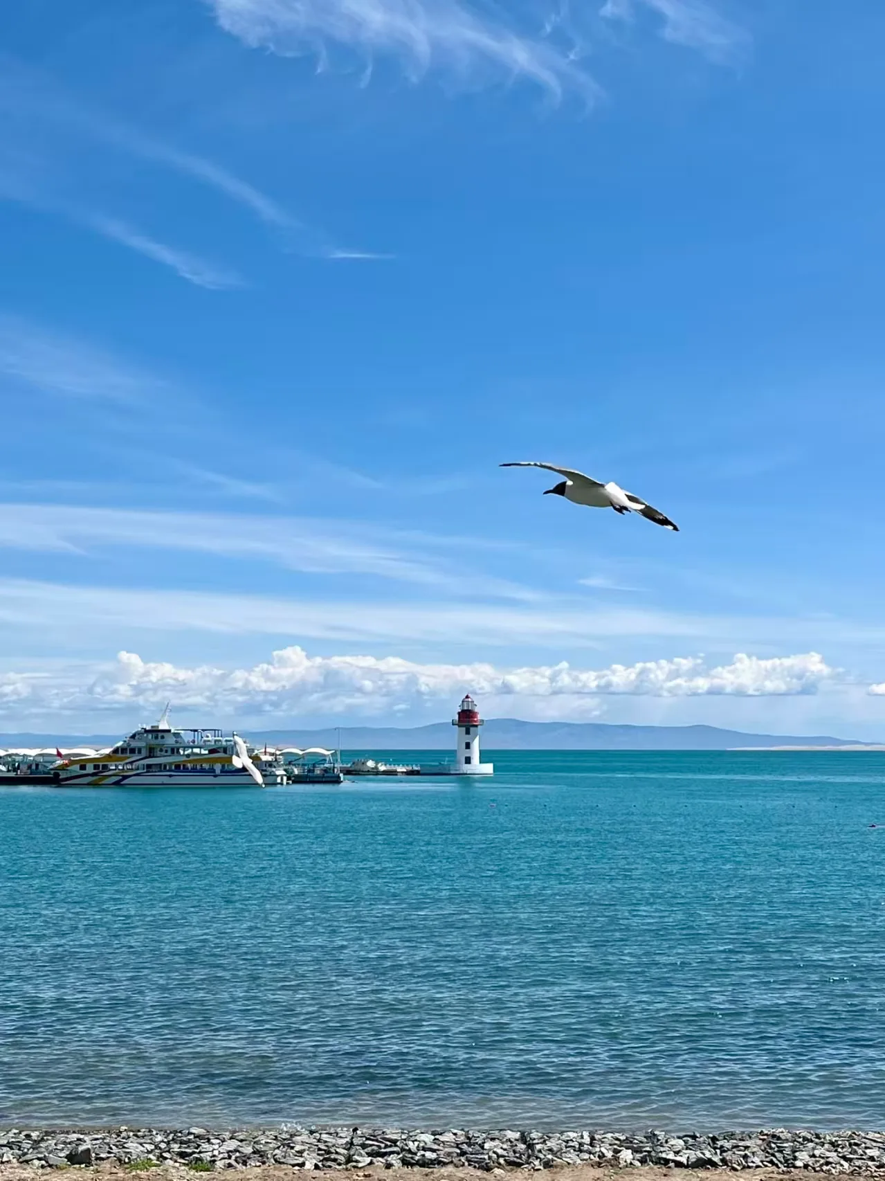八月奔赴青海，暑假尾声来一场清凉高原之旅 图片 2