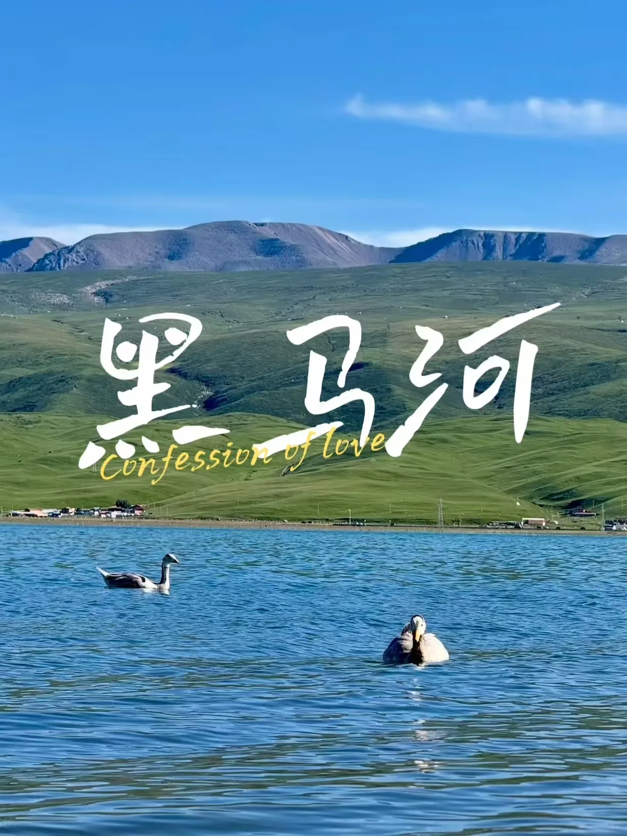 八月奔赴青海，暑假尾声来一场清凉高原之旅 图片 4