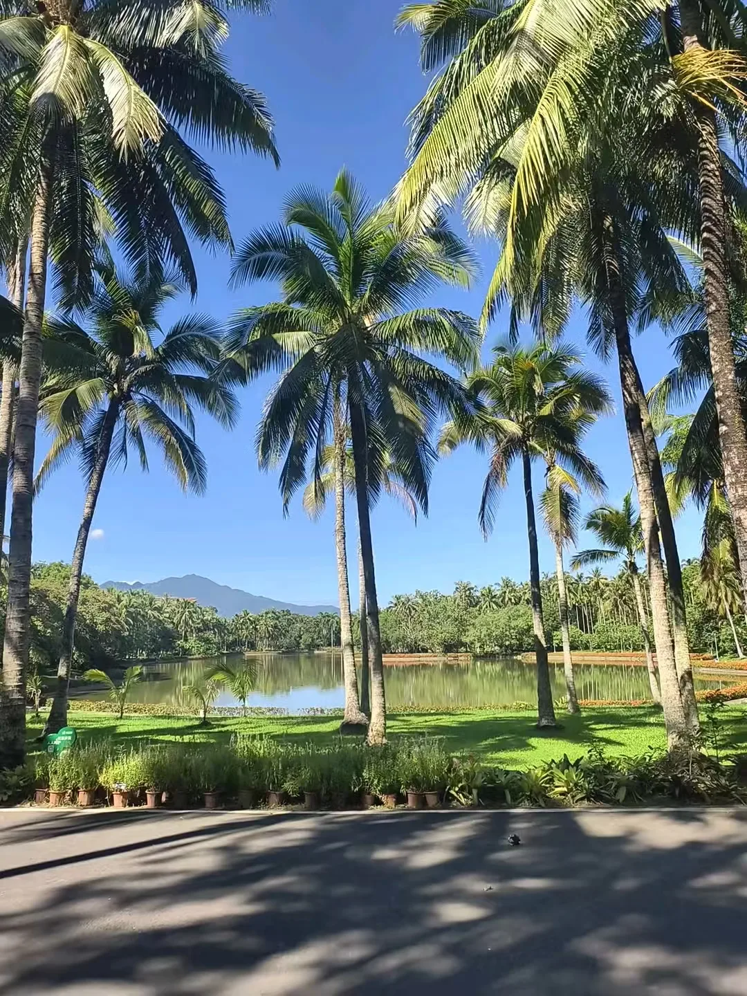 八月避暑出逃海南万宁，夏日海风沉浸式度假攻略 图片 4
