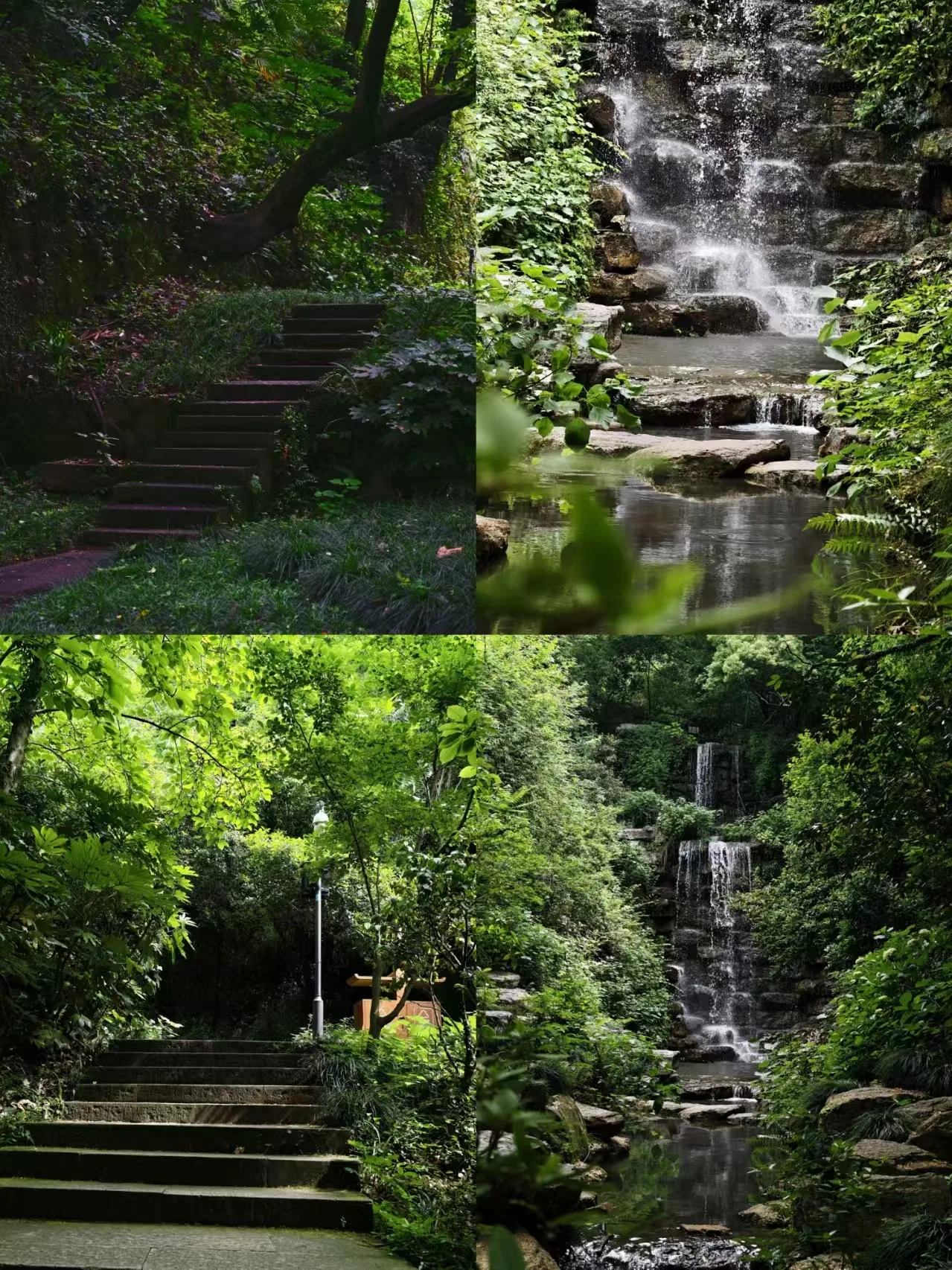 独自晃进绍兴水巷,解锁江南一座没有围墙的清凉课堂 图片 4
