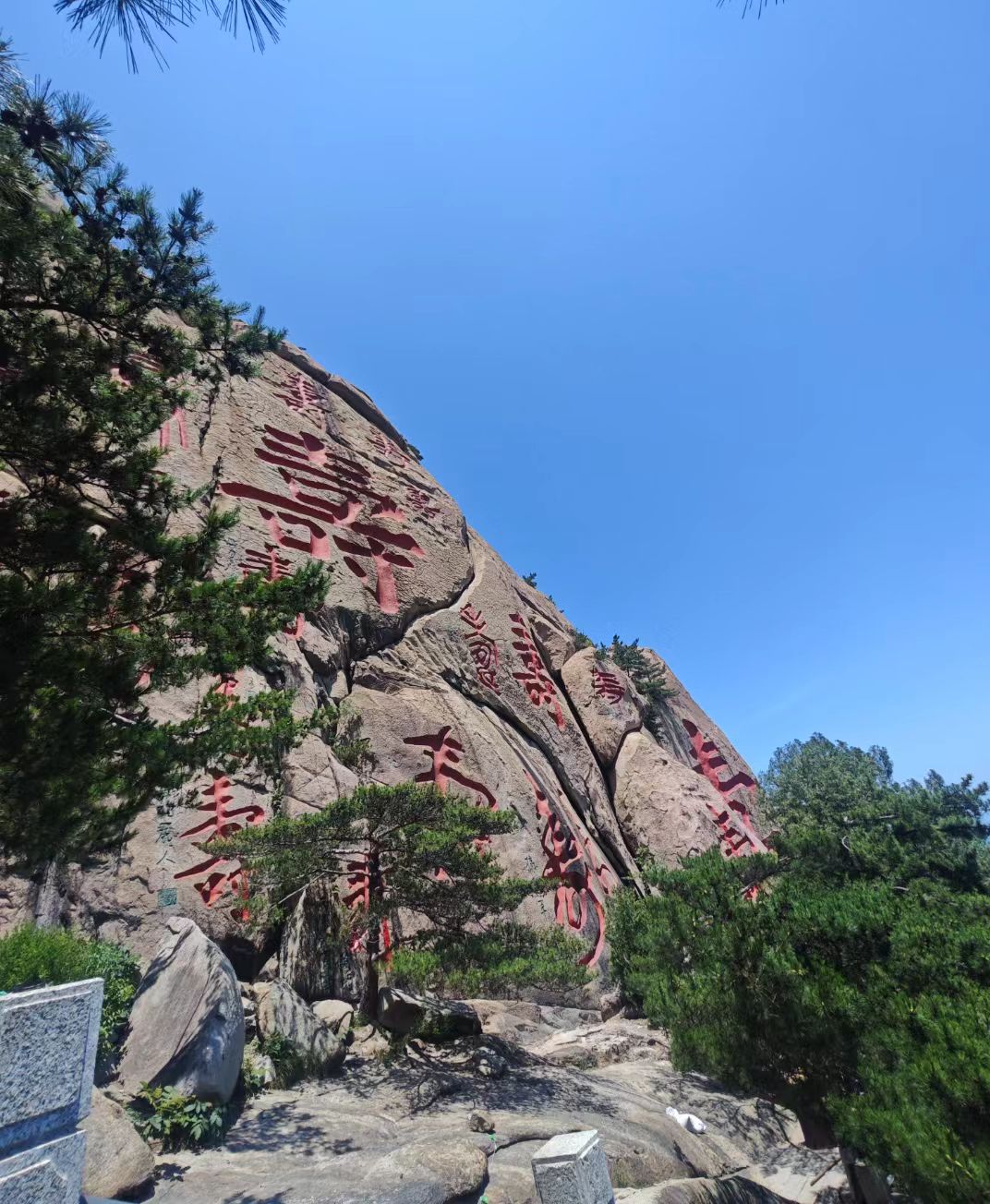 暑假尾声带娃来青岛，海风栈桥崂山清凉亲子时光 图片 3