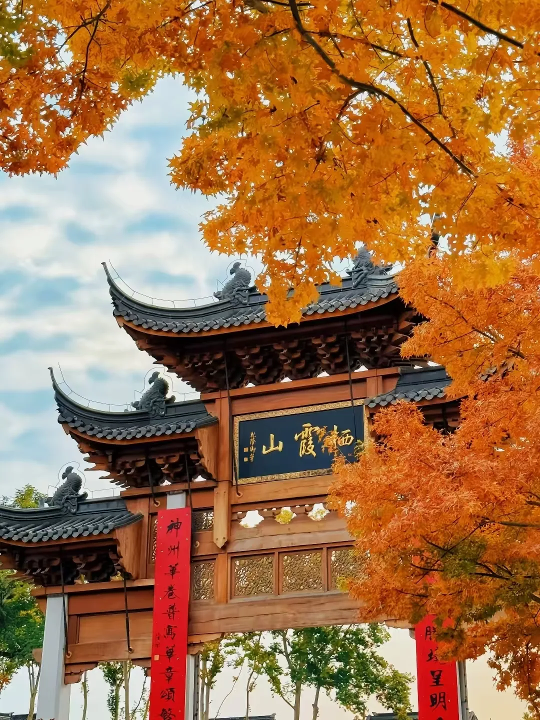 中秋上海赏秋去哪儿最合适？三大方向横评推荐+FAQ 图片 7