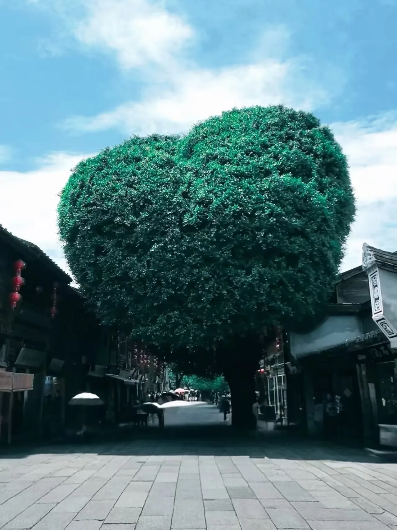 暑假末班车｜毕业生必收的福州旅行，机票酒店这样选更省钱