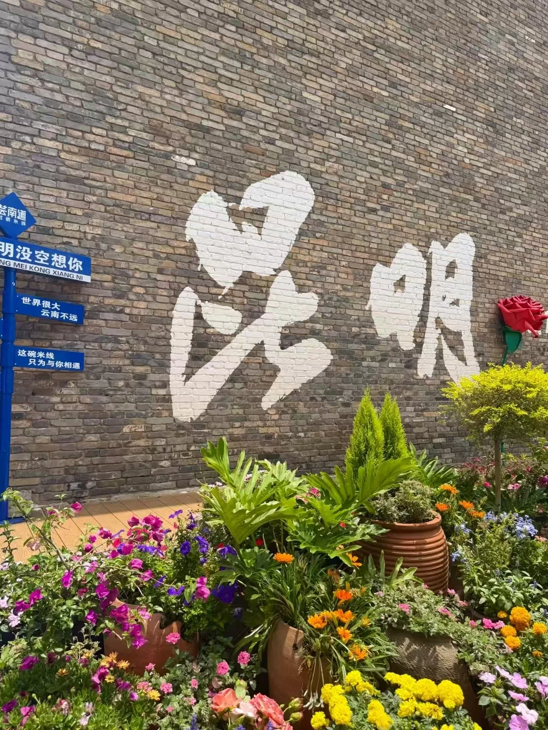 暑假旅游地推荐:昆明错峰遛娃三天怎么玩?+FAQ