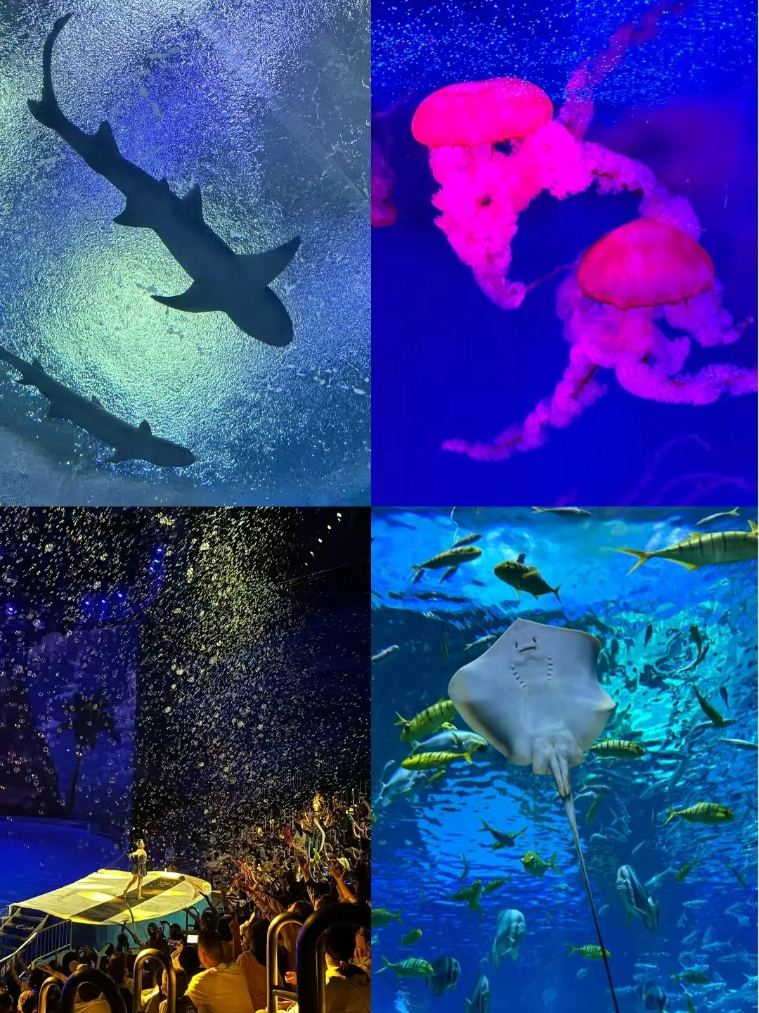 暑假旅游地推荐:昆明错峰遛娃三天怎么玩?+FAQ 图片 3