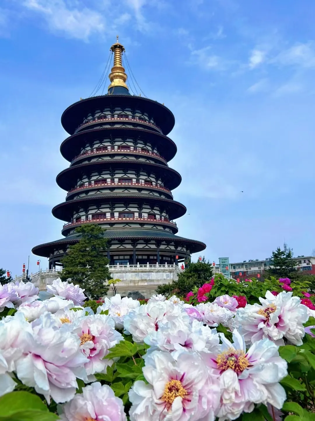 洛阳3天保姆级攻略:不绕路不踩坑玩转十三朝神都全记录 图片 4