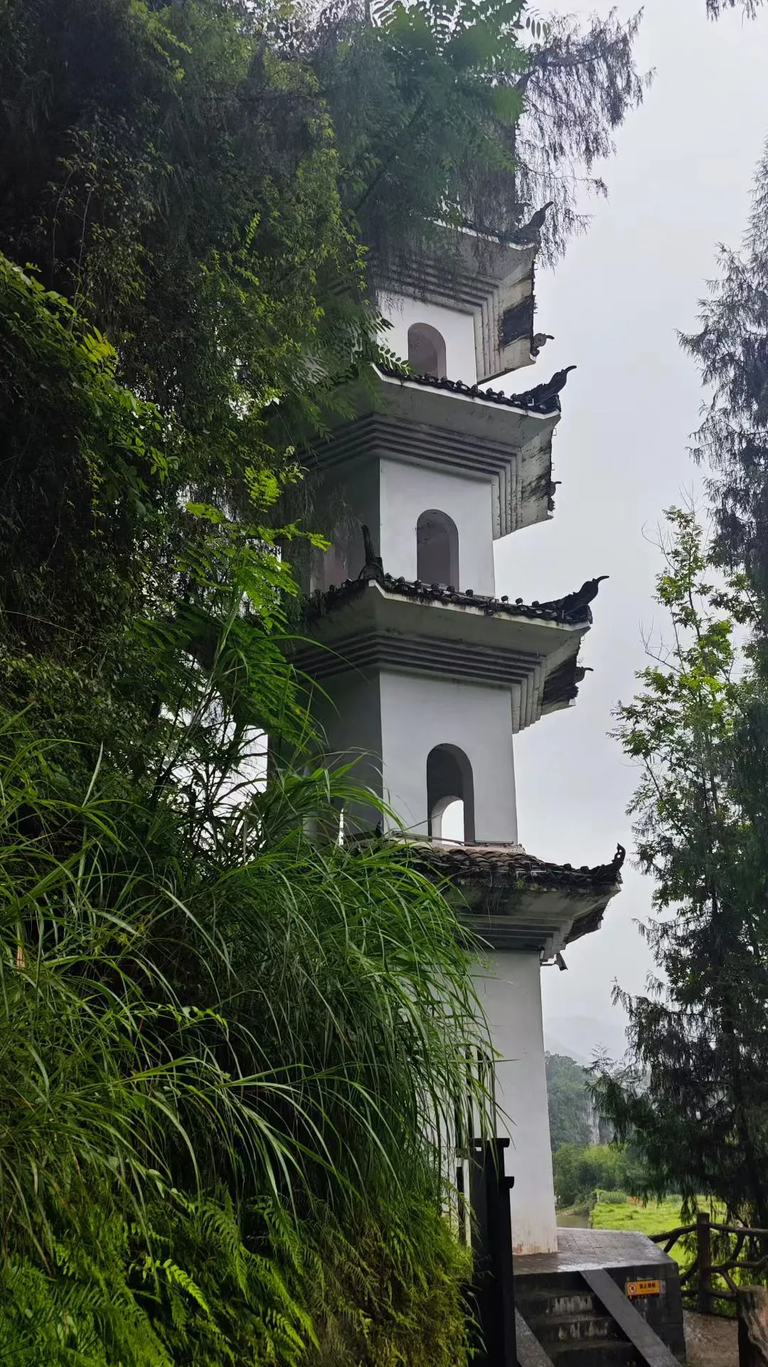 暑期末尾小众避暑去哪儿？茶峒古镇真值得去吗+FAQ