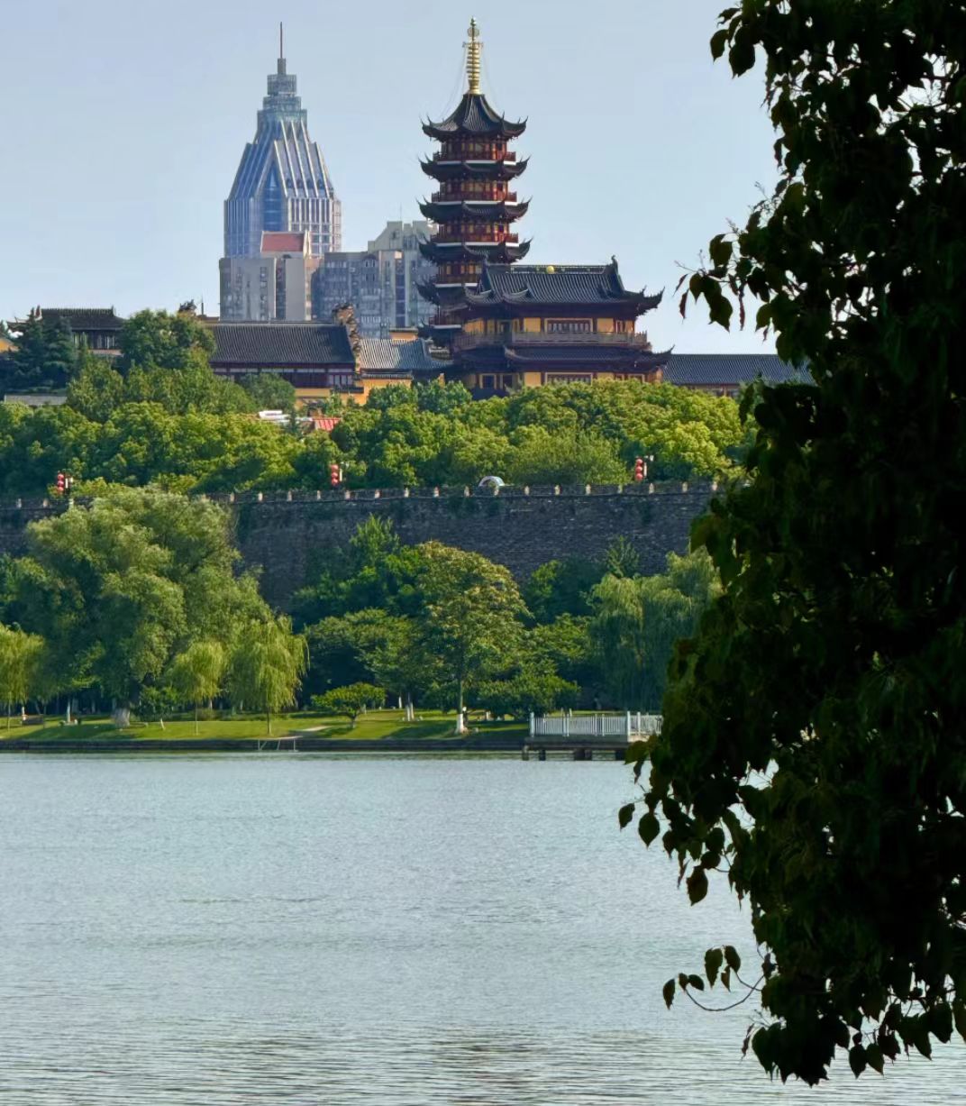 中秋带娃慢游南京，城墙赏月看灯三天两晚不赶路 图片 3