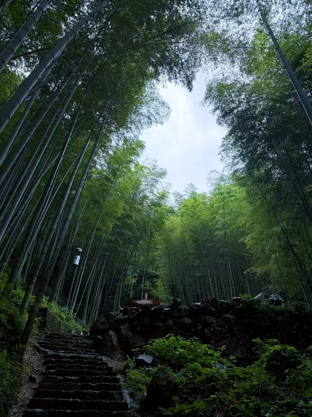 暑期宜兴竹海避暑攻略,躲进万亩竹海享清凉+FAQ 图片 4