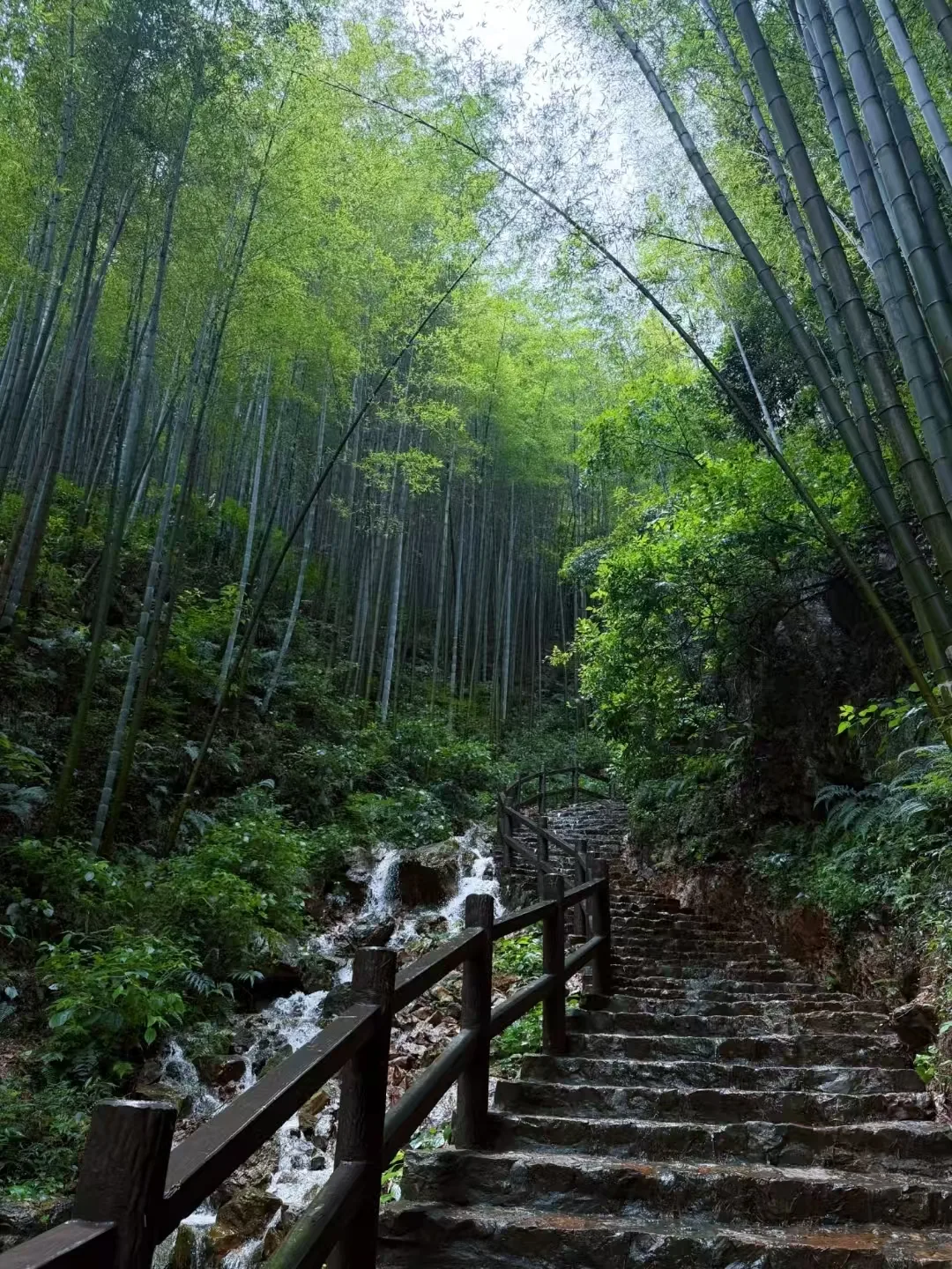 暑期宜兴竹海避暑攻略,躲进万亩竹海享清凉+FAQ 图片 5