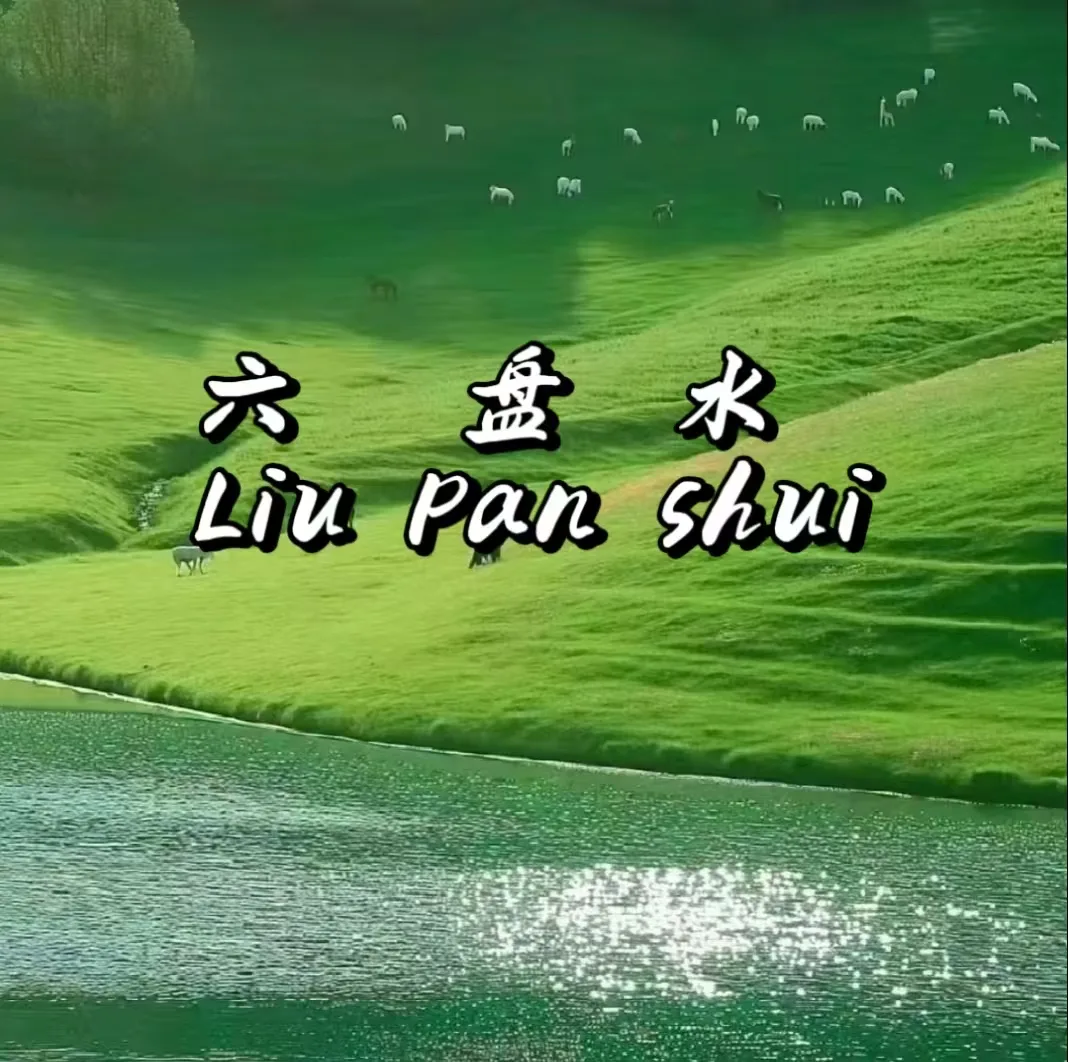 Why Reverse Travel Went Viral, Liupanshui, a Summer Resort in August, Went Viral+ + FAQ