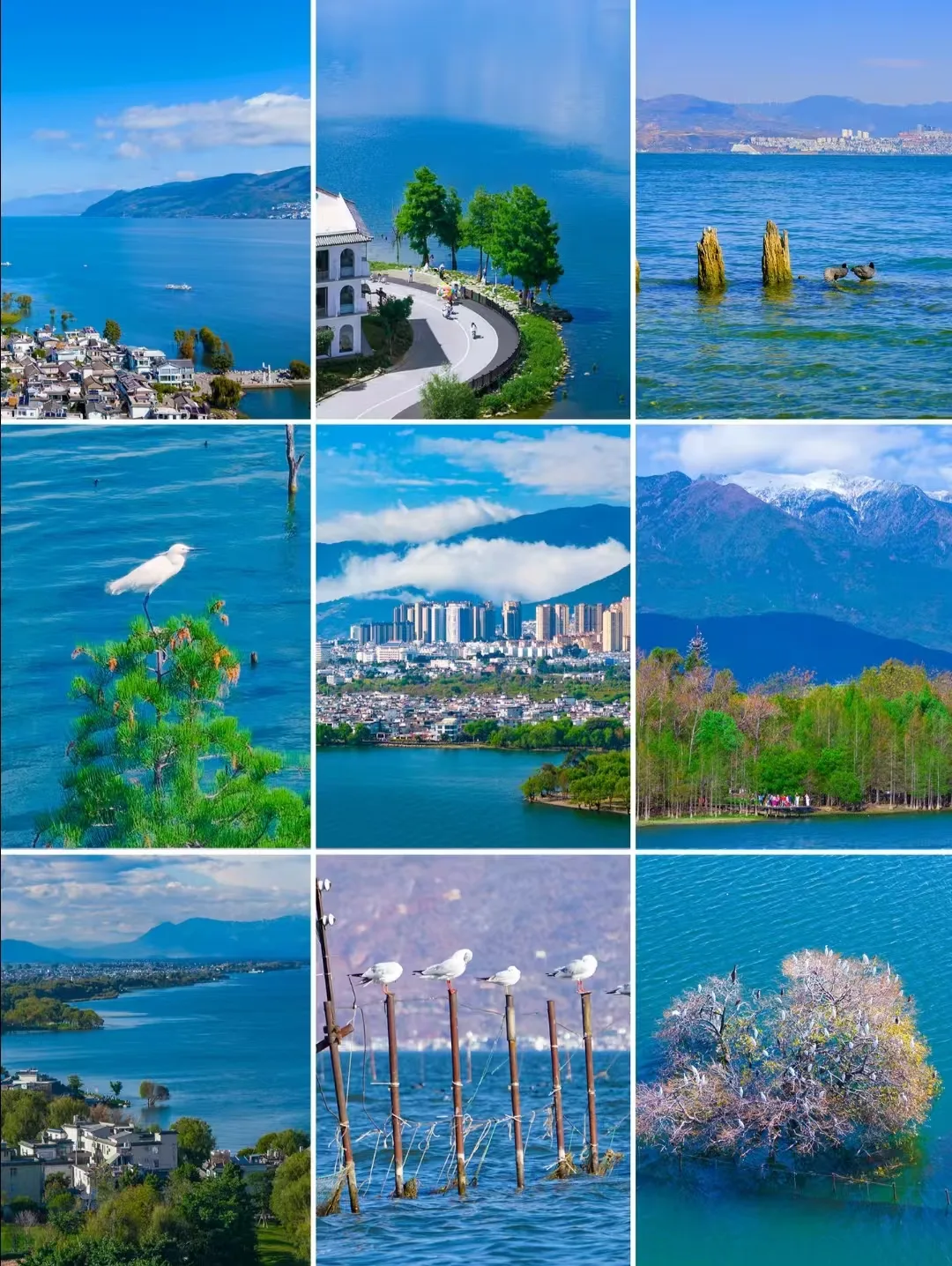 2026中秋大理短途游：洱海月下3条轻旅线，人均约800元+FAQ 图片 2