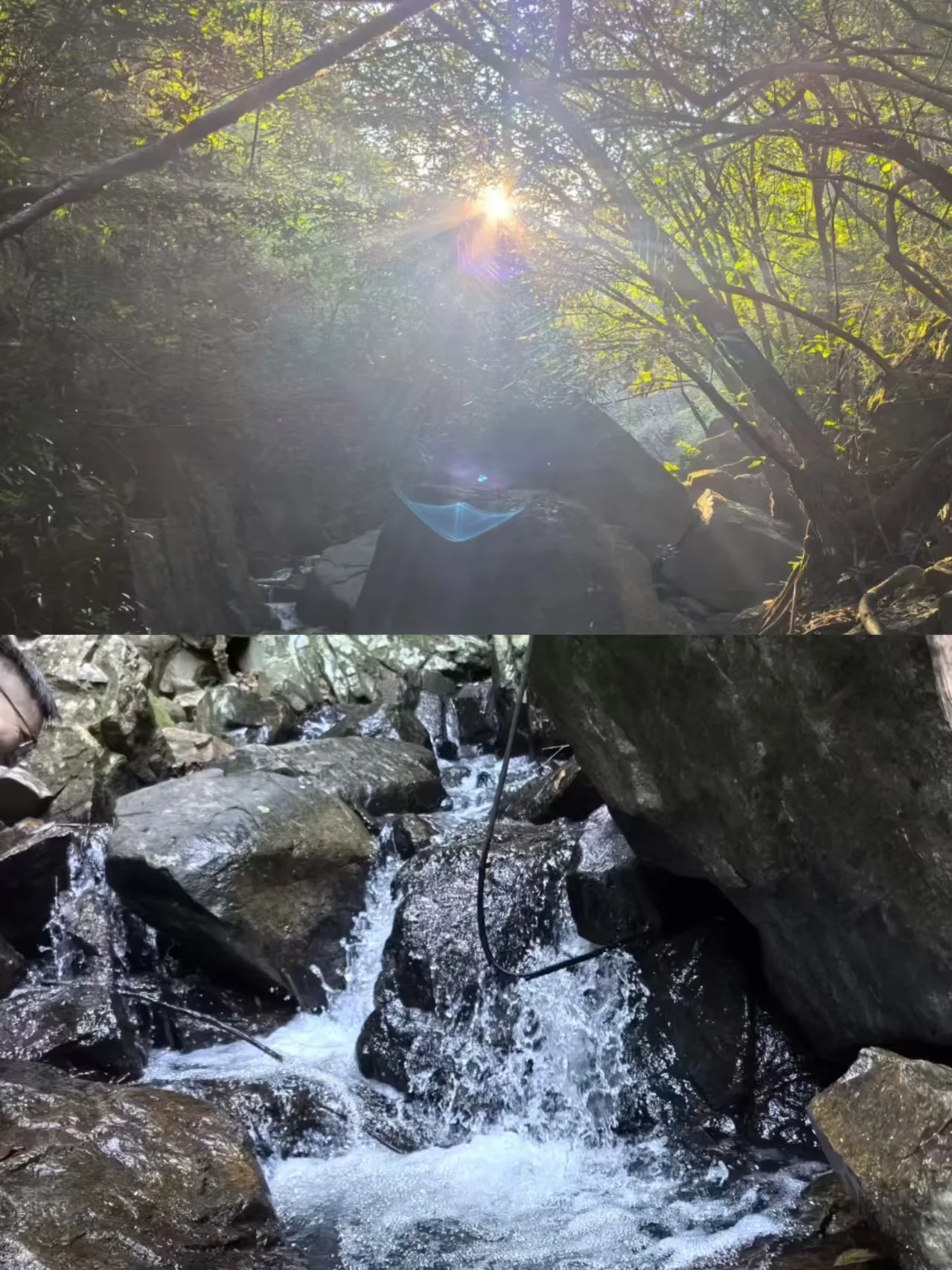 暑期中秋厦门出行攻略：错峰订票慢游，小众出游不踩雷 图片 3