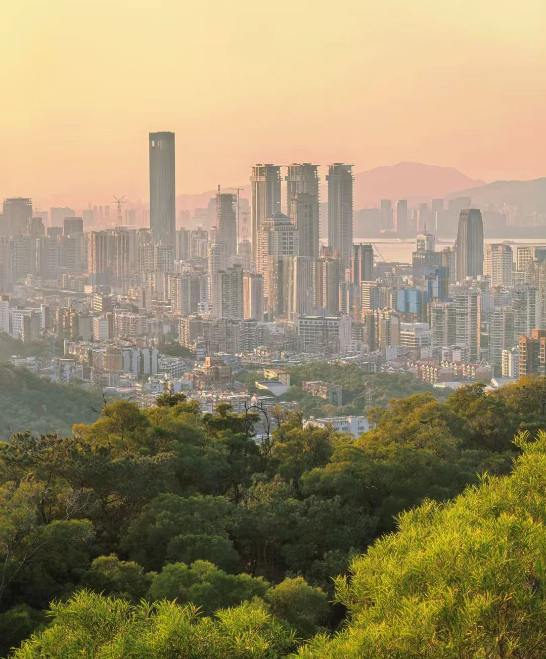 暑期中秋厦门出行攻略：错峰订票慢游，小众出游不踩雷 图片 4