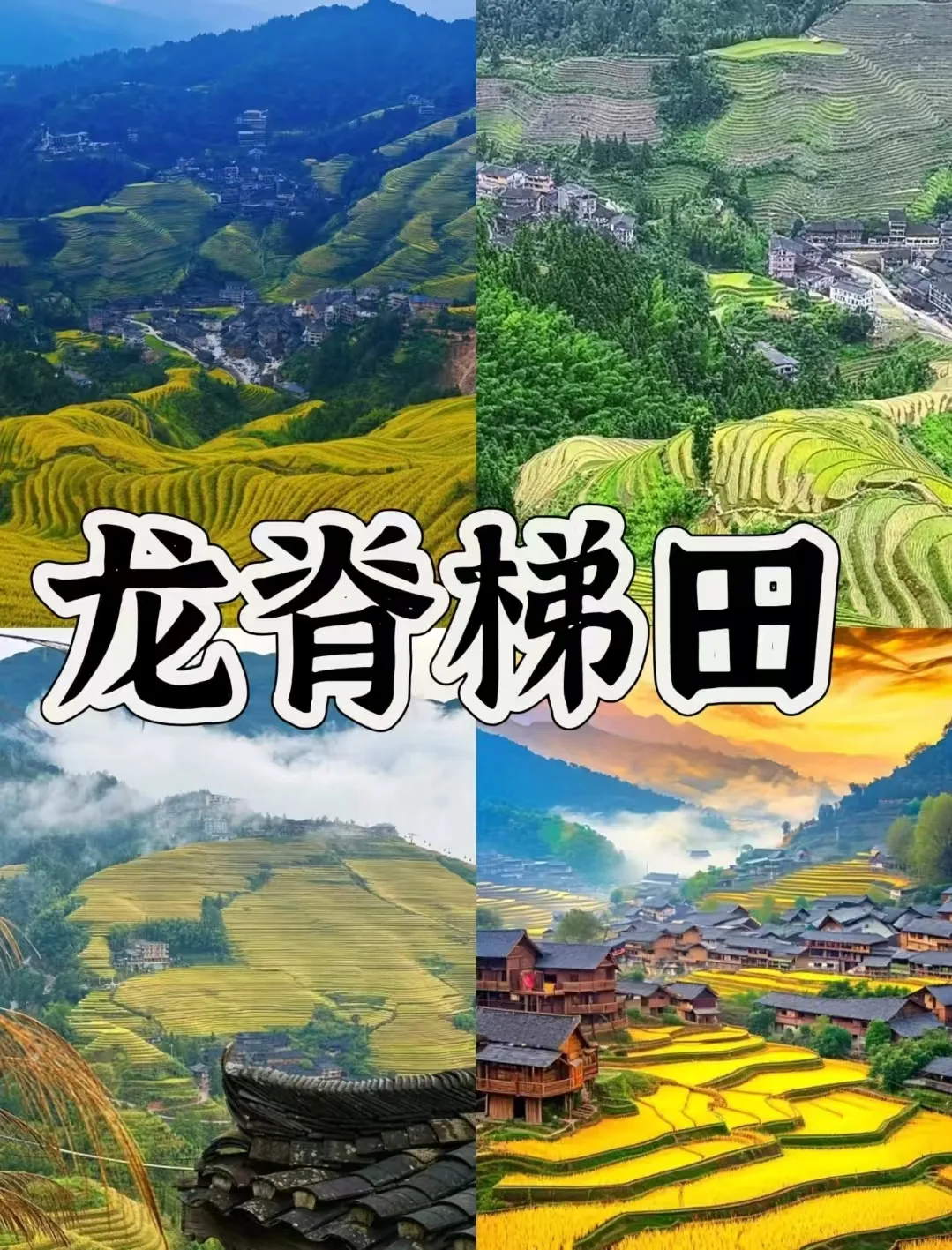 这个中秋去桂林，在漓江月色和梯田稻香里过假期 图片 4