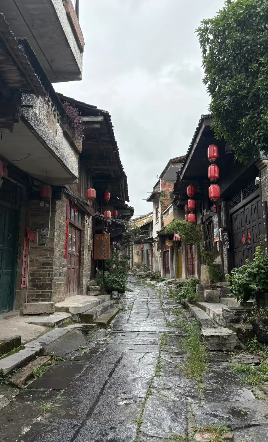 这个中秋去桂林，在漓江月色和梯田稻香里过假期 图片 6