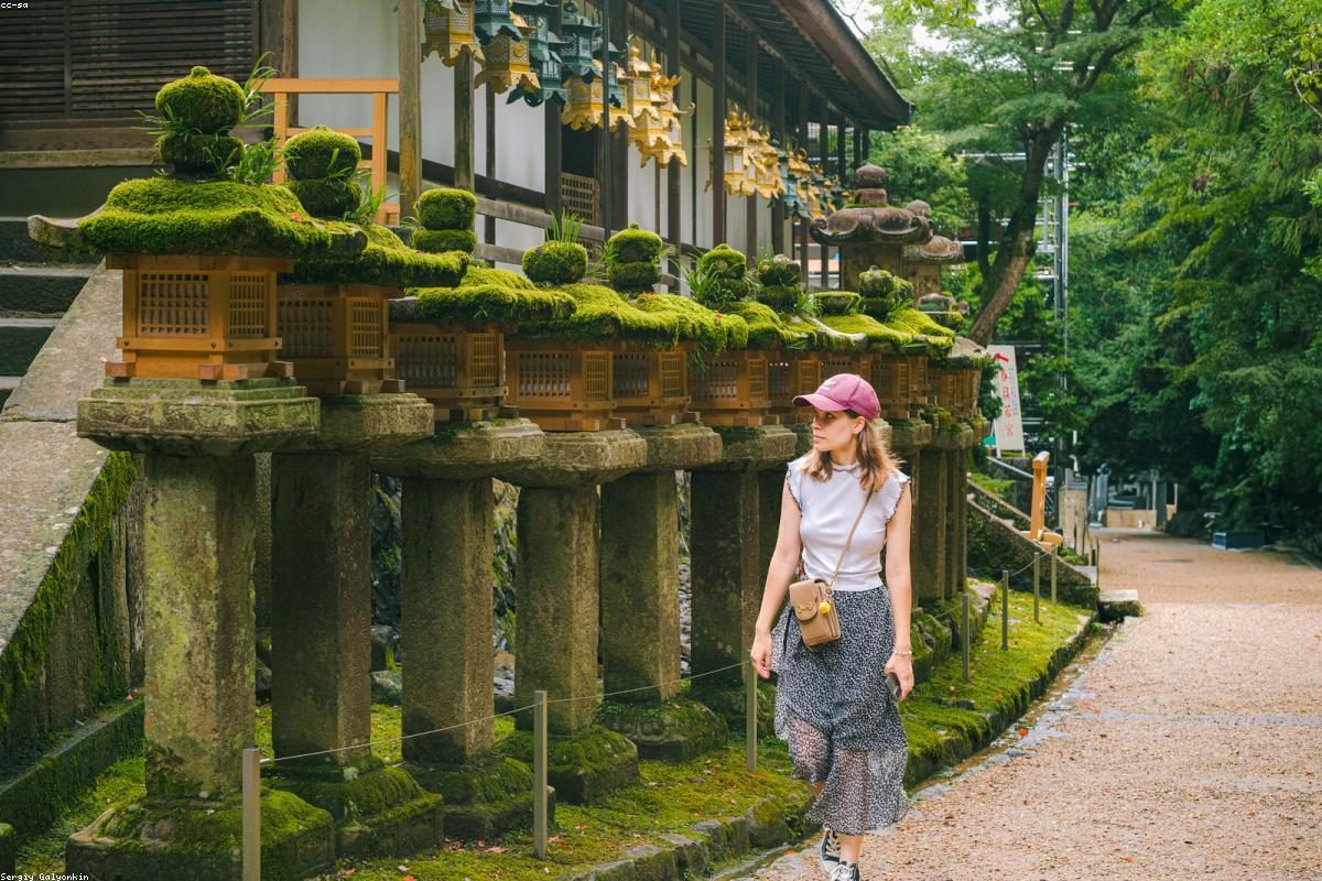 Nara In-Depth Travel Complete Guide: Deer and Temple Activities + FAQ