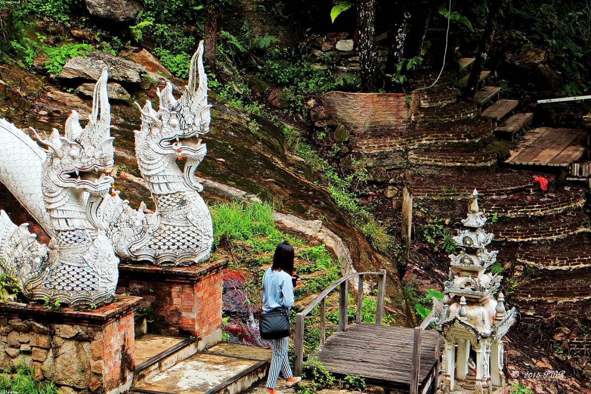 The golden dome of the temples in Chiang Mai Old City and tropical plants