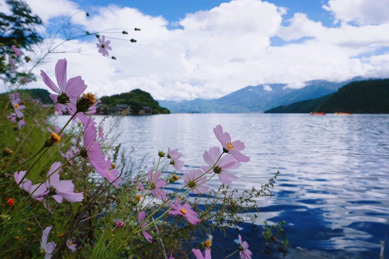 Yunnan