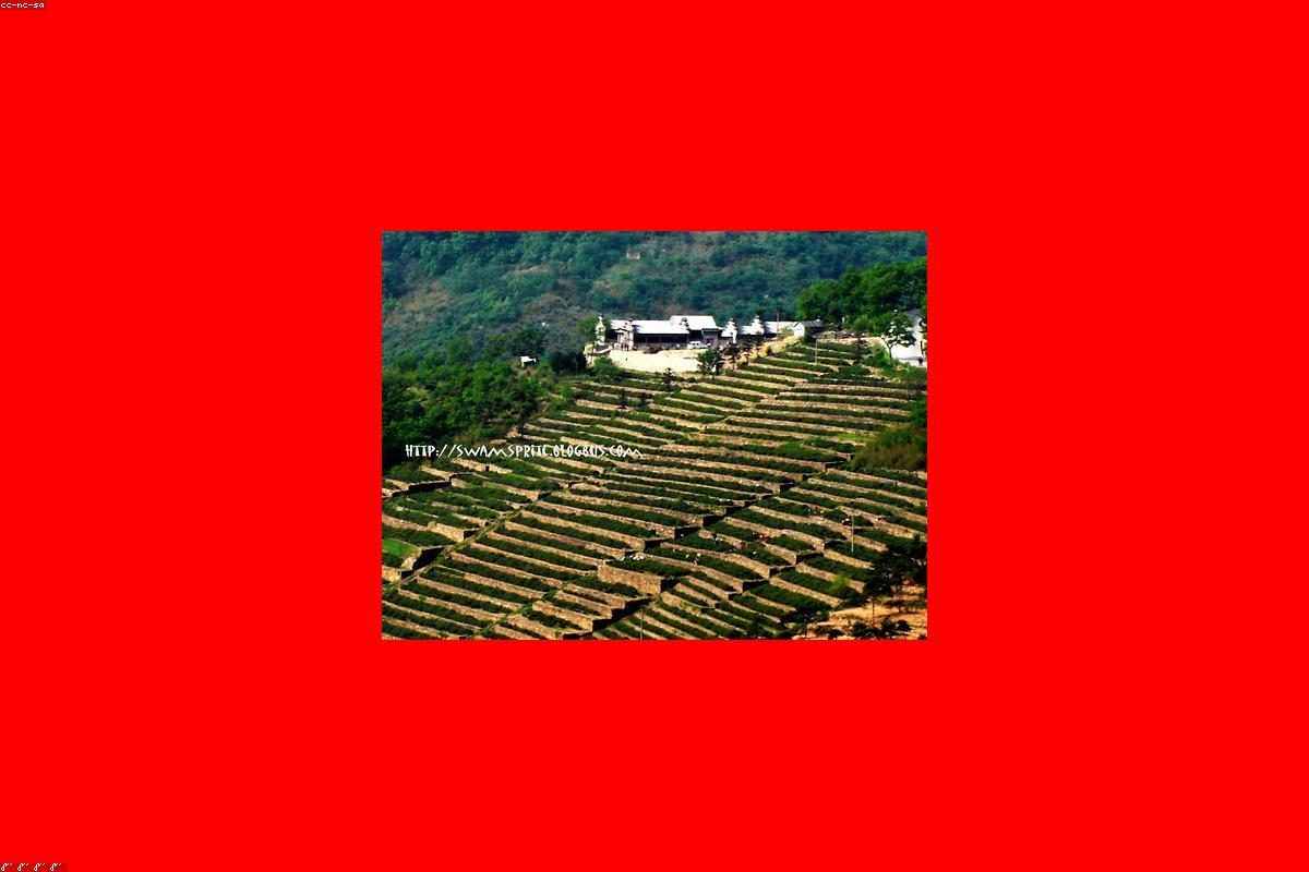 Lianyungang In-depth Travel Guide: Mountain and Sea Activities + FAQ