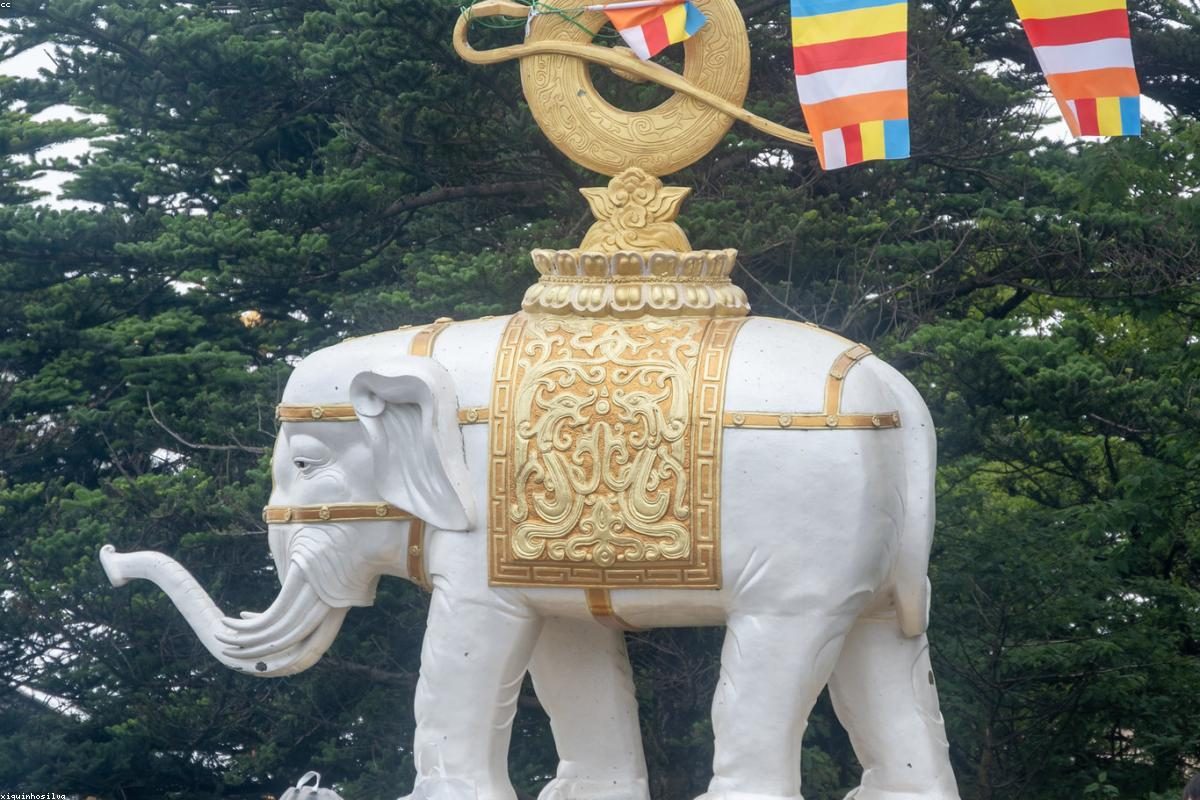 乐山深度旅行全攻略：佛与山玩法+FAQ