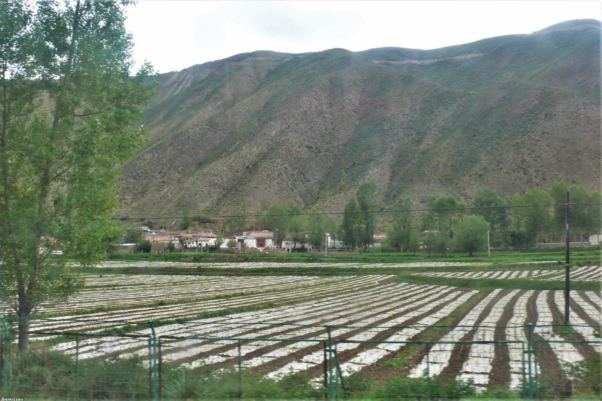 Xiahe In-Depth Travel Complete Guide: Golden Summit and Alley Activities + FAQ