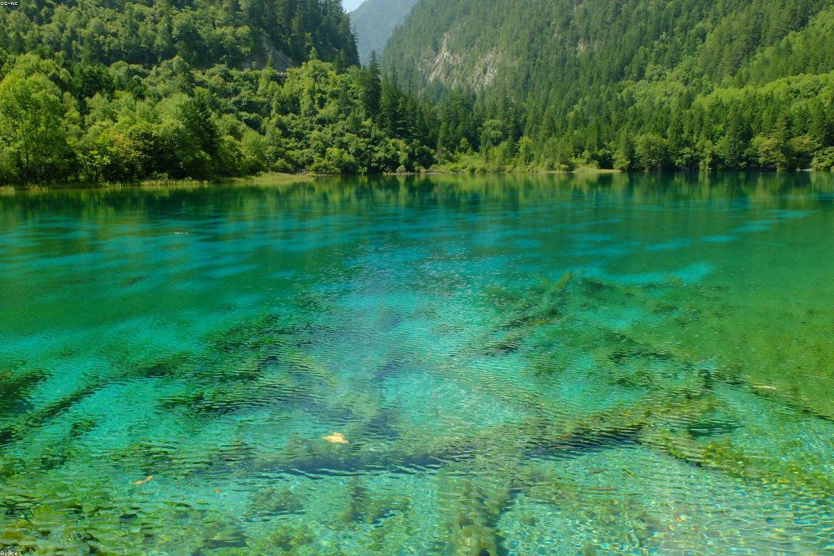 九寨沟五花海碧蓝湖水与多彩林交相辉映