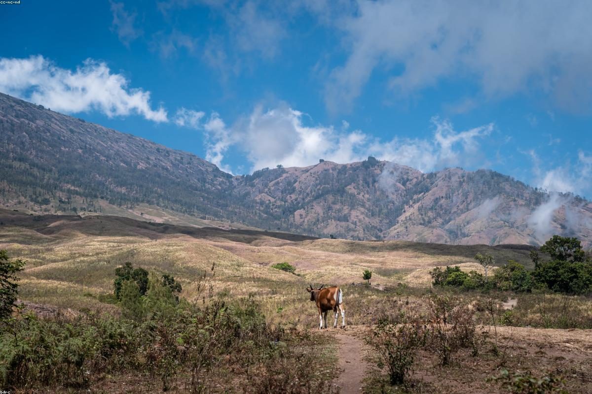 Complete Guide to In-Depth Travel in Lombok: Mountain and Beach Activities + FAQ