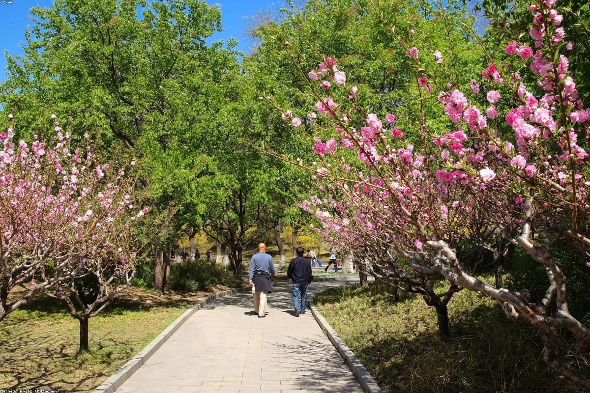 Beihai In-Depth Travel Guide: Beach and Island Activities + FAQ