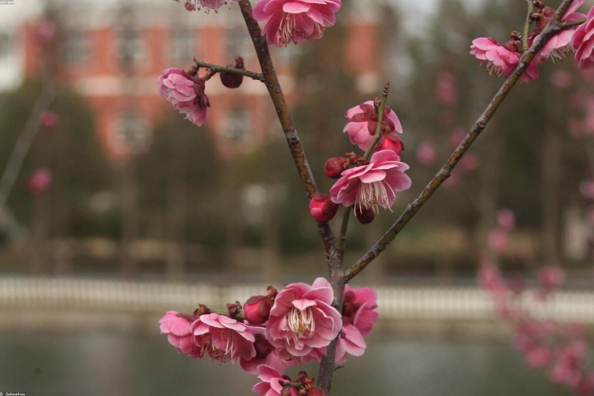 Hefei In-Depth Travel Complete Guide: Lakes and Tombs + FAQ