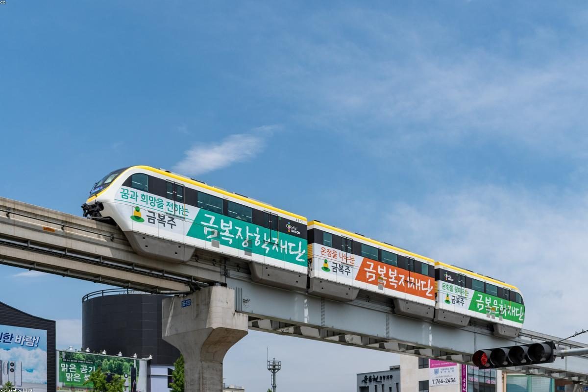 Daegu In-Depth Travel Guide: Medicine and Street Activities + FAQ