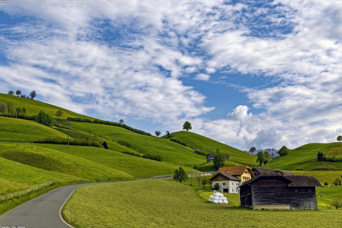 Lucerne In-Depth Travel Complete Guide: Bridges and Peaks + FAQ