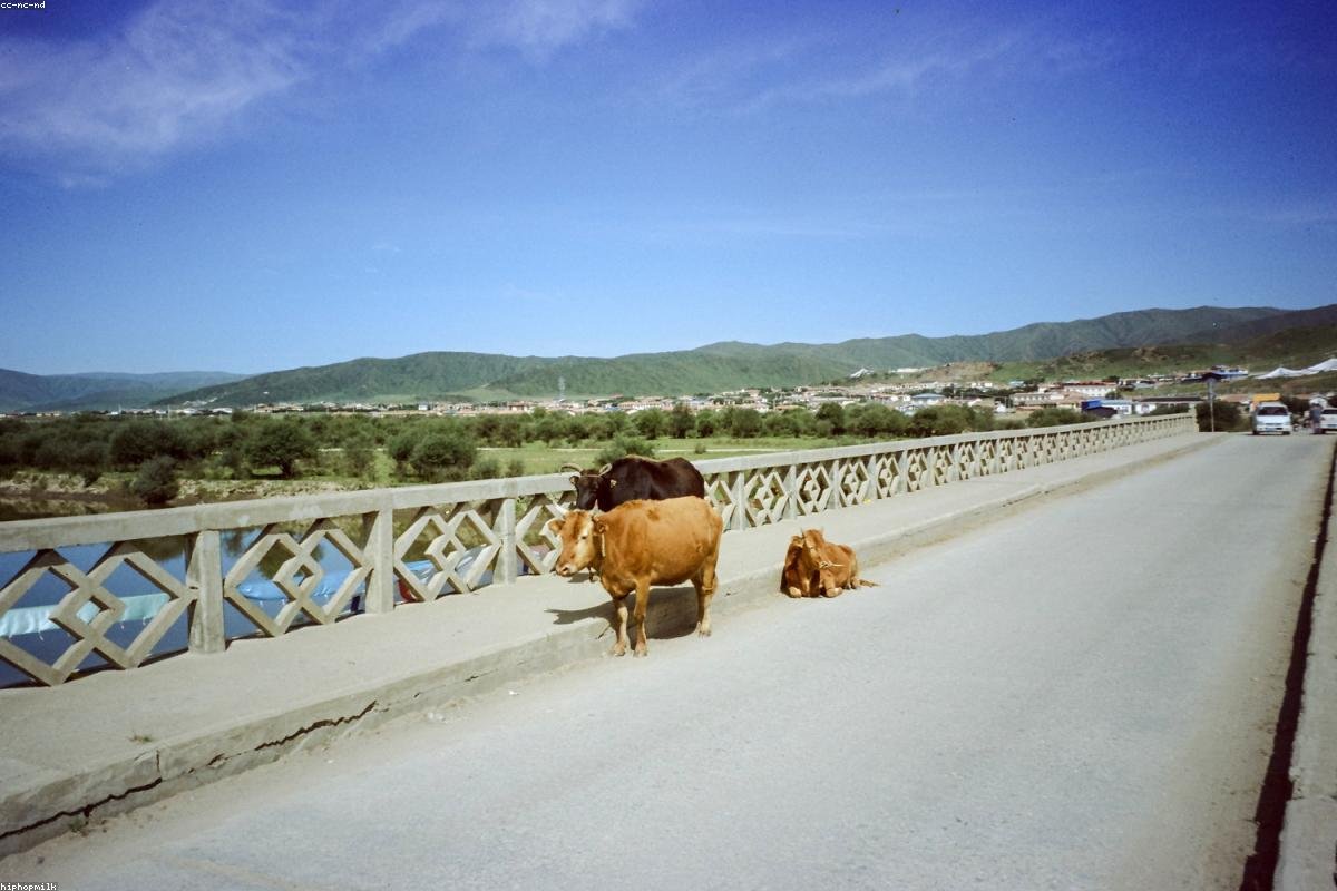 Luding Luding Bridge